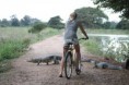 /album/en-pantanal-mt/a1052892-445292162232610-927546779-o-bike-jpg1/